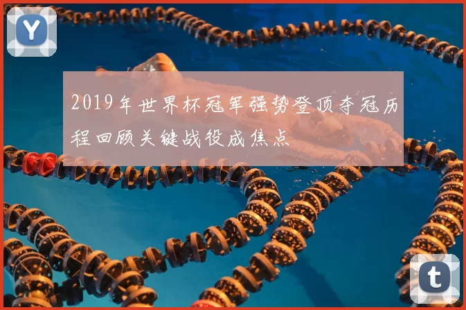 2019年世界杯冠军强势登顶夺冠历程回顾关键战役成焦点